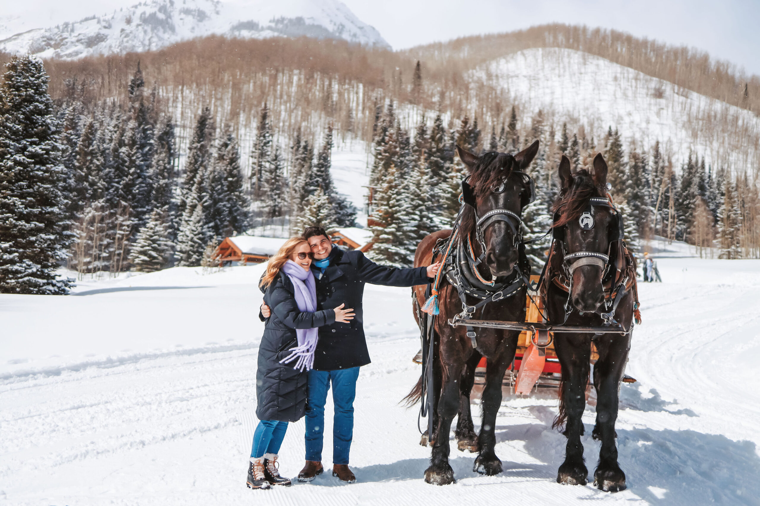 Couple poses in front of horses after their winter engagement